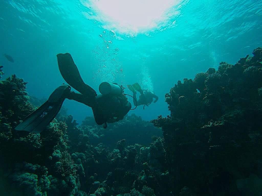 scuba diving in the red sea by Benedikt Kuhn