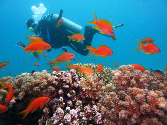 Diving holidays in Egypt via Pixabay