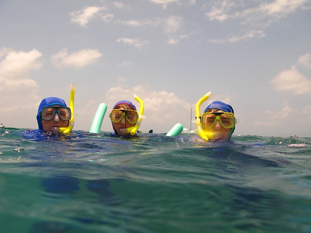 Snorkelers surfacing via Pixabay