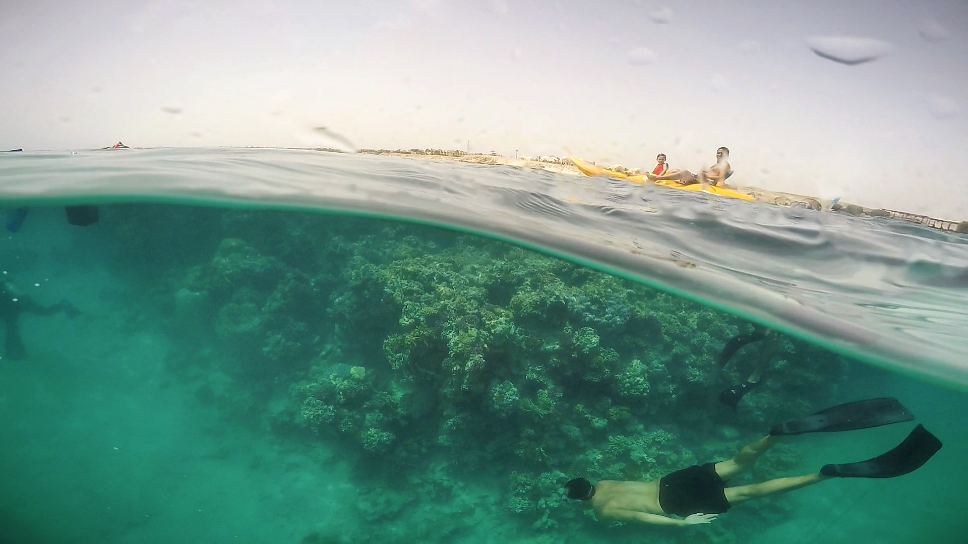 Marsa Alam's underwater paradise by Sherif El Damanhoury
