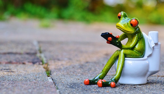 frog sitting on a toilet via pixabay